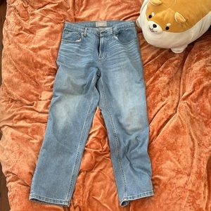 Everlane The Cheeky Jean